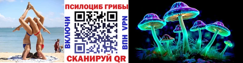 Псилоцибиновые грибы GOLDEN TEACHER  Мытищи 